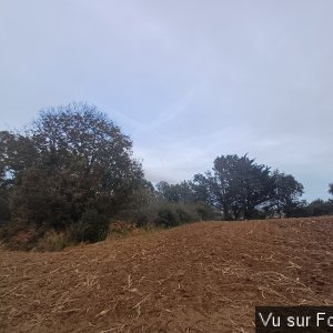 Le terrain vu de l'extérieur - Capitaine Jack