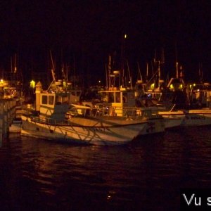 Capitaine Jack en balade à Audierne (31)