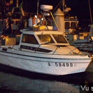 Capitaine Jack en balade à Audierne (52)