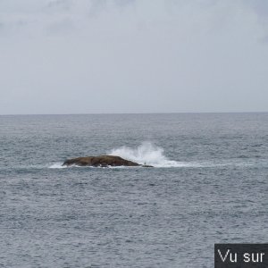 Road-Trip pour Capitaine Jack dans le Finistère Nord (20)