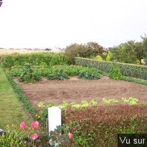 Road-Trip pour Capitaine Jack dans le Finistère Nord (55)