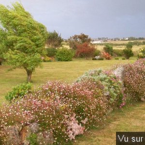 Road-Trip pour Capitaine Jack dans le Finistère Nord (62)