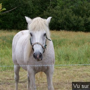 Road-Trip pour Capitaine Jack dans le Finistère Nord (64)