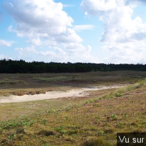 Road-Trip pour Capitaine Jack dans le Finistère Nord (71)