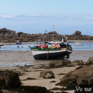 Capitaine Jack visite le port de Brignogan (55).JPG