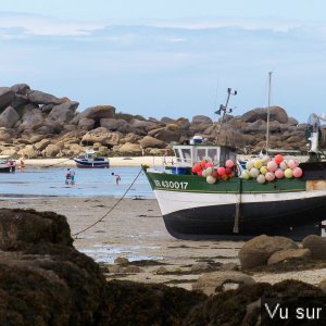Capitaine Jack visite le port de Brignogan (56).JPG