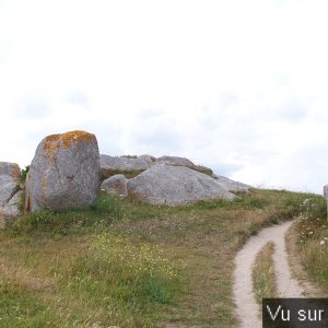Capitaine Jack visite le port de Brignogan (45).JPG