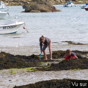 Capitaine Jack visite le port de Brignogan (14).JPG