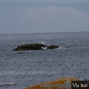 Capitaine Jack visite le port de Brignogan (27).JPG