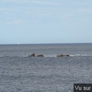 Capitaine Jack visite le port de Brignogan (29).JPG