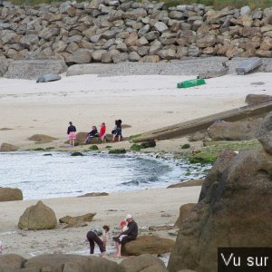 Capitaine Jack visite le port de Brignogan (35).JPG
