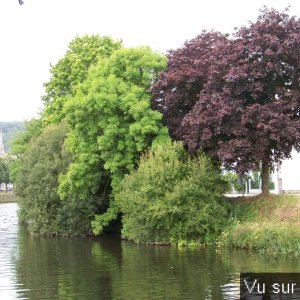 Port Launay par Capitaine Jack (9).JPG