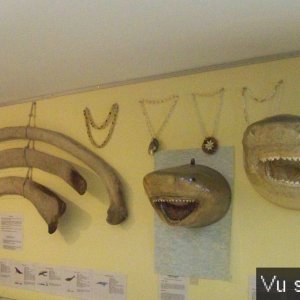 Pouldreuzic - Penhors - Capitaine Jack (27).jpg