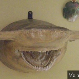 Pouldreuzic - Penhors - Capitaine Jack (28).jpg