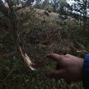 🌪️La tempête Ciaran frappe le jardin du Capitaine Jack