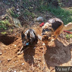 Louna et Pepsy avec Capitaine-Jack 1