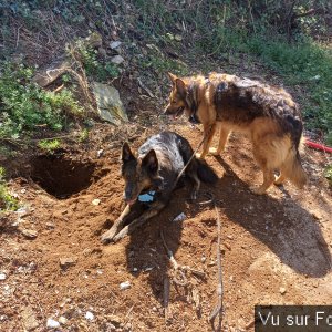 Louna et Pepsy avec Capitaine-Jack 4