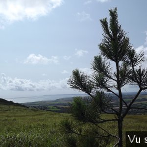 Menez Hom - Ca^pitaine Jack.JPG