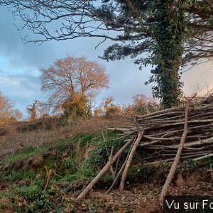 autre passage menant au verger-capitaine jack.jpg