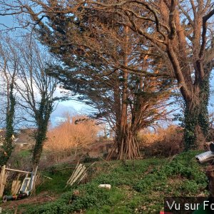 chemin menant au verger-capitaine jack.jpg