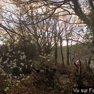 troisième partie du terrain-capitaine jack.jpg