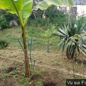 jardin breton capitaine jack (13).jpg