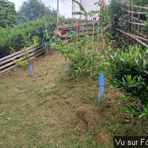 jardin breton capitaine jack (15).jpg