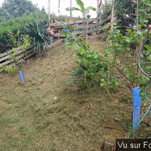 jardin breton capitaine jack (16).jpg