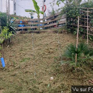 jardin breton capitaine jack (17).jpg