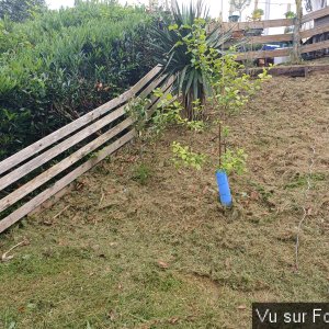 jardin breton capitaine jack (18).jpg