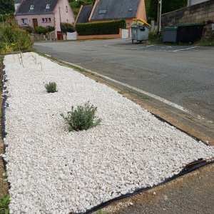 jardin breton capitaine jack (38).jpg