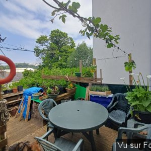 jardin breton capitaine jack (46).jpg