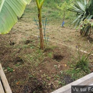 jardin breton capitaine jack (12).jpg