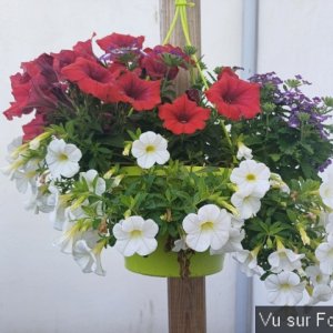 jardin breton capitaine jack (26).jpg