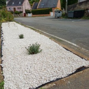 jardin breton capitaine jack (38).jpg