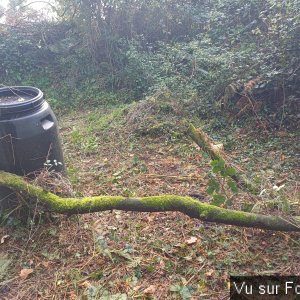 Emplacement d'une serre à voir - Capitaine Jack.jpg