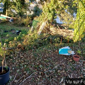 Les pieds de vigne seront espacés d'environ 3 mètres - Capitaine Jack.jpg