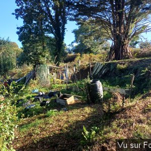 On va démarrer des vignes ici sur la partie droite - Capitaine Jack.jpg
