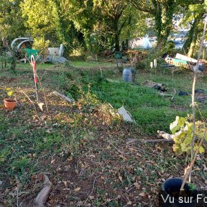 Pour commencer on va planter 8 pieds de vigne - Capitaine Jack.jpg