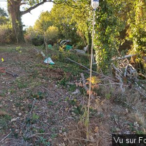 Toutes les vignes sont plantées - Capitaine Jack.jpg