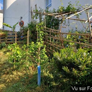 Silence ça pousse (2)_1.jpg