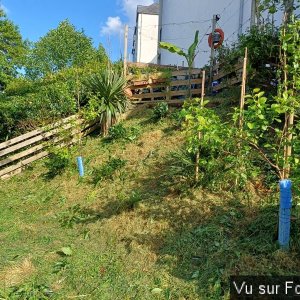 Silence ça pousse (3)_1.jpg