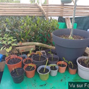 Silence ça pousse (4)_1.jpg