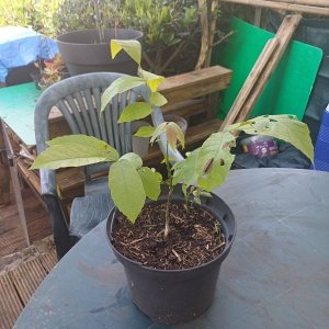 Silence ça pousse (5)_1.jpg