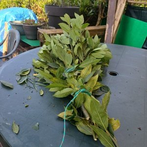 Silence ça pousse (6)_1.jpg