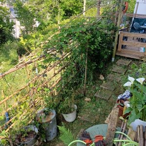 Silence ça pousse (8)_1.jpg