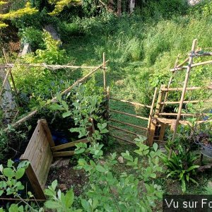 Silence ça pousse (9)_1.jpg