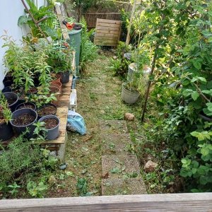 Silence ça pousse (10)_1.jpg