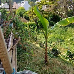 Silence ça pousse (11)_1.jpg