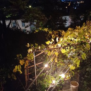 la descente du jardin de capitaine jack.jpg